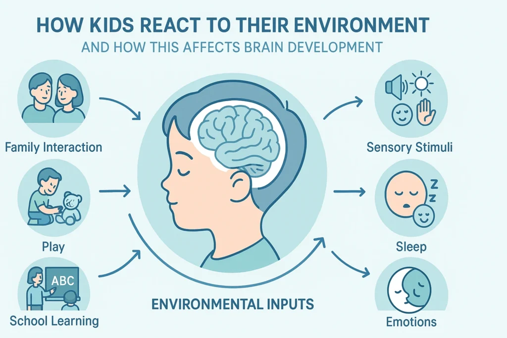 How Kids React to Their Environment: Understanding Brain Development