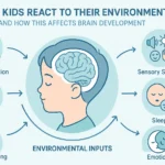 How Kids React to Their Environment: Understanding Brain Development